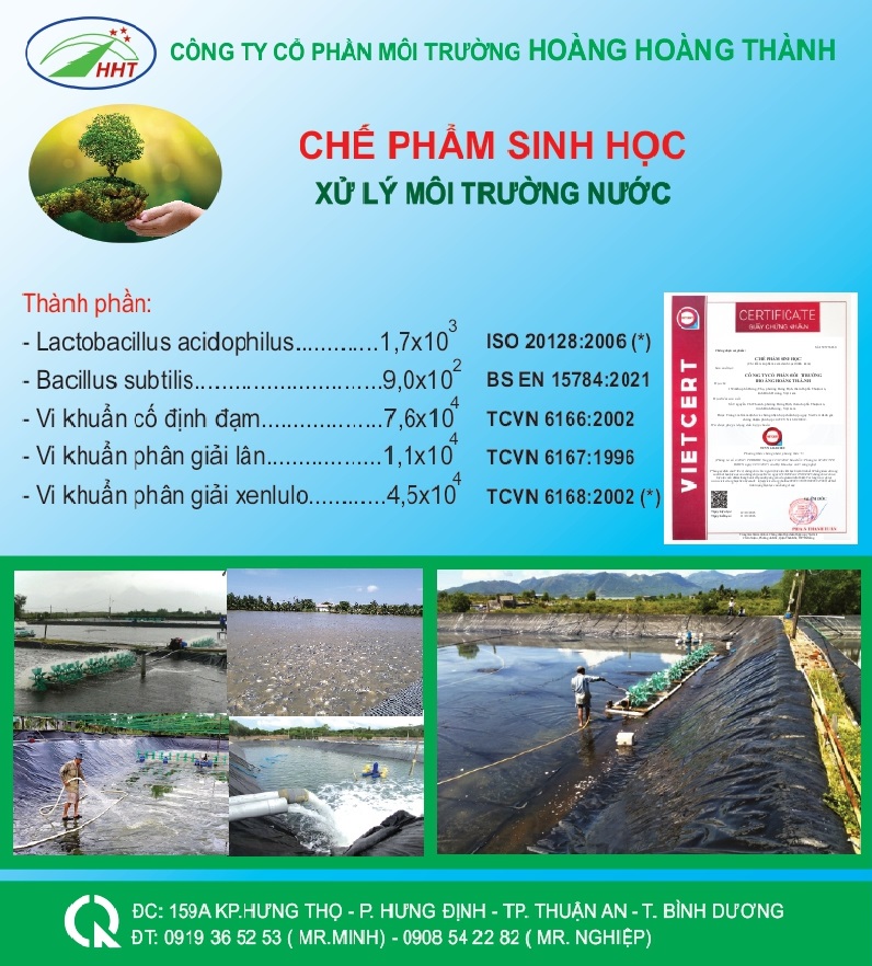 Chế Phẩm Sinh Học Xử Lý Nước 5L 1